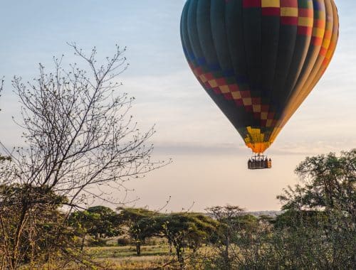 a hot air balloon flying over a lush green field