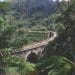 high-angle photography of concrete bridge surrounded by trees