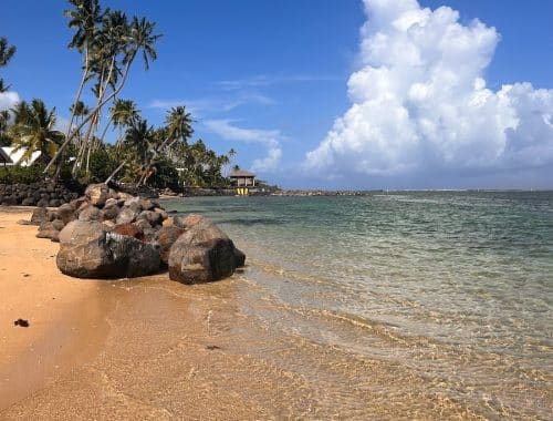a beach with rocks and palm trees on a sunny day